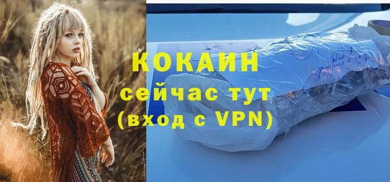 купить наркотики сайты  Азов  Cocaine Эквадор 