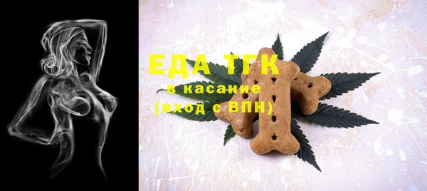 индика Ельня