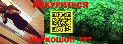 стаф Канаш
