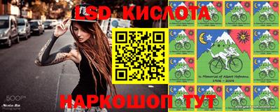 ALPHA PVP Камышлов