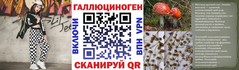 где купить   Азов  Псилоцибиновые грибы Psilocybe 