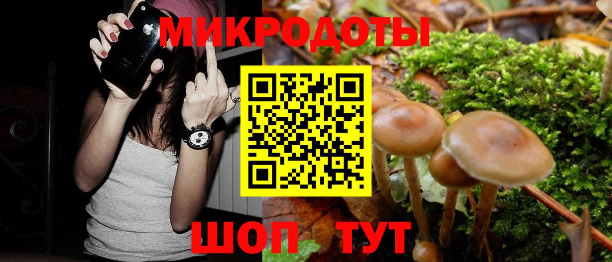 Псилоцибиновые грибы Psilocybine cubensis  Псилоцибиновые грибы мицелий  Азов 