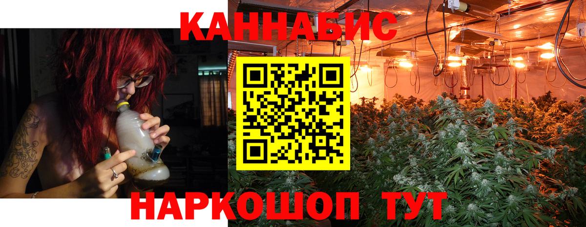 Конопля гибрид  Азов  Конопля сатива  Марихуана MAZAR 